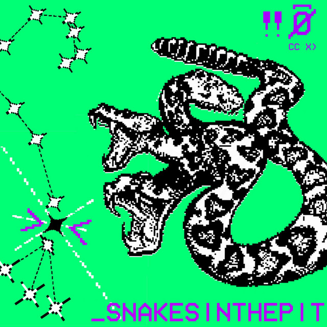 SNAKESINTHEPIT cover art