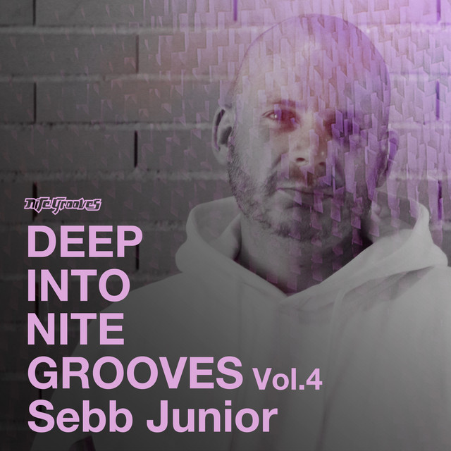 Deep Into Nite Grooves, Vol. 4 (DJ Mix) cover art