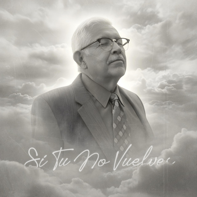 Si Tu No Vuelves cover