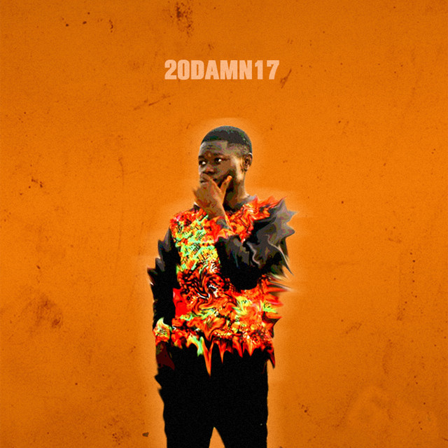 20DAMN17 cover art