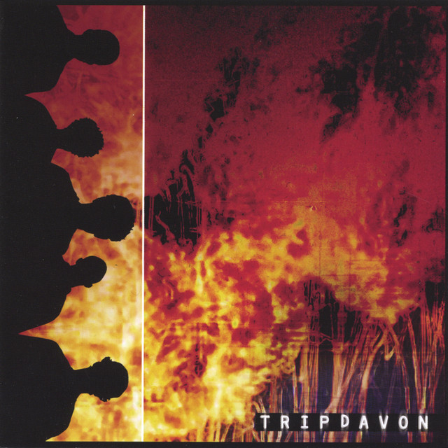 Tripdavon cover