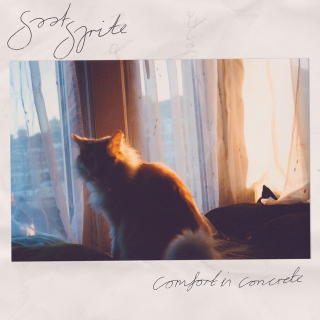 Comfort in Concrete cover art