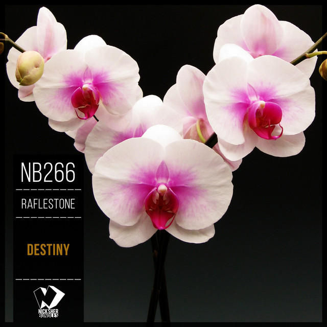 Destiny cover art