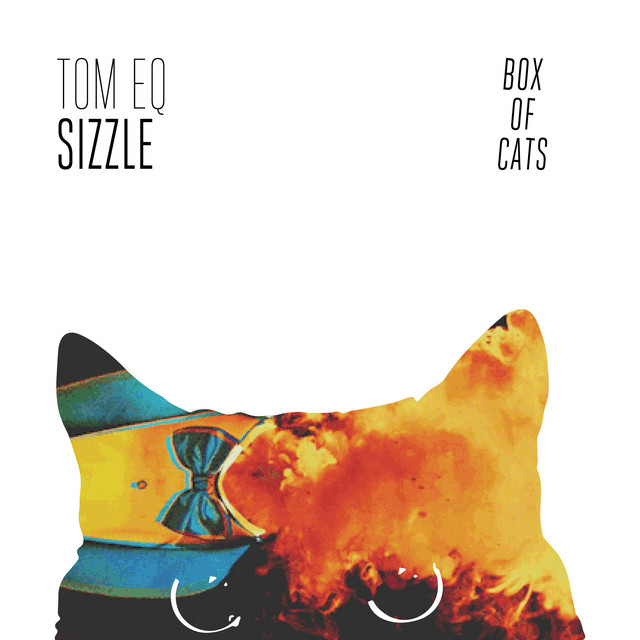 Sizzle cover art