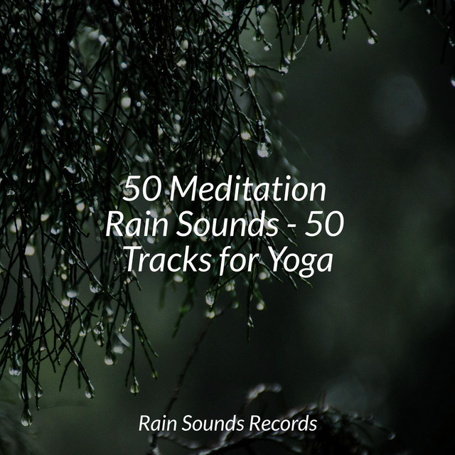 50 Meditation Rain Sounds - 50 Tracks for Yoga - Album by Musica Para ...