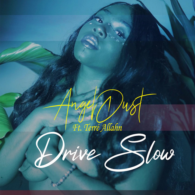 DriveSlow cover