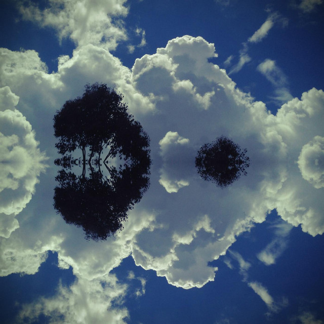 2013 cover art