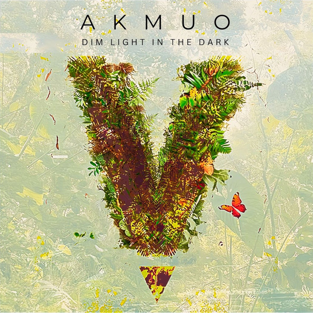 Album cover for Dim Light in the Dark by Akmuo