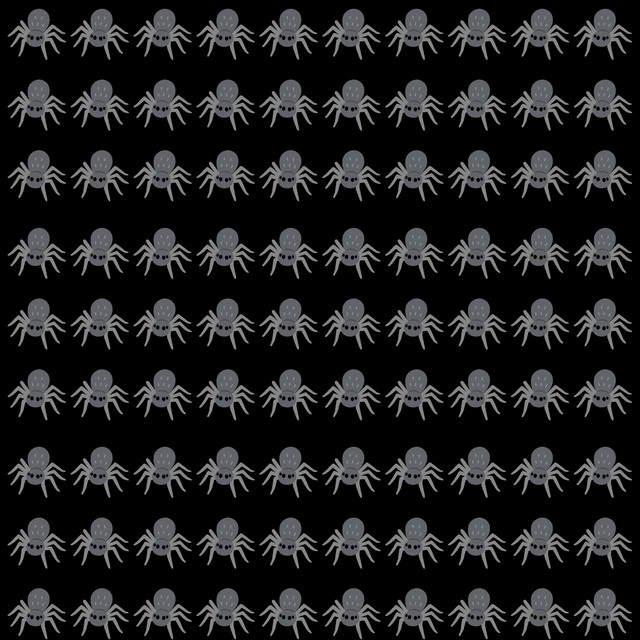 spiders cover art