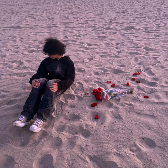 like nothing ever happened cover art
