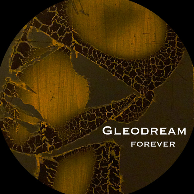 Forever cover art