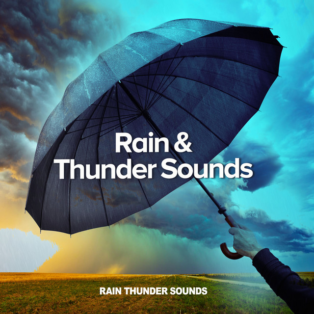 Rain & Thunder Sounds cover art