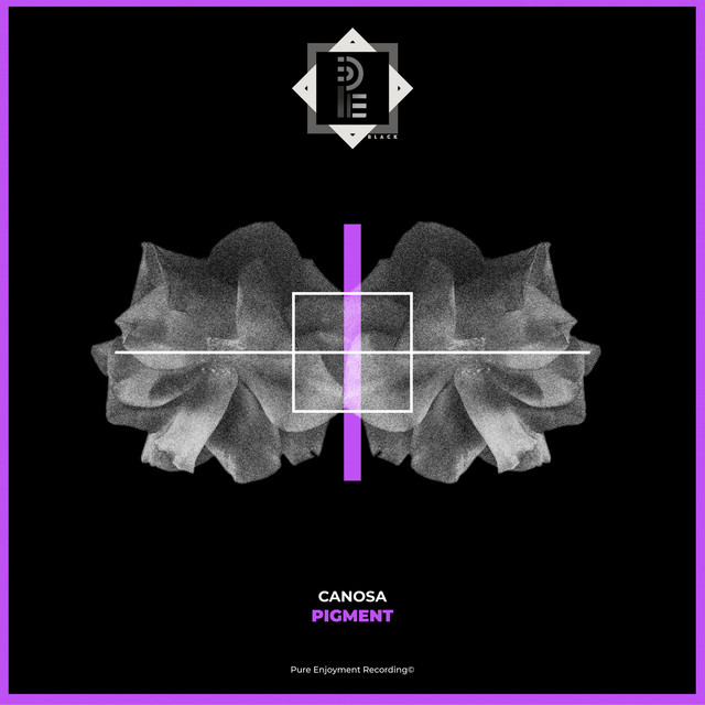 Pigment album art