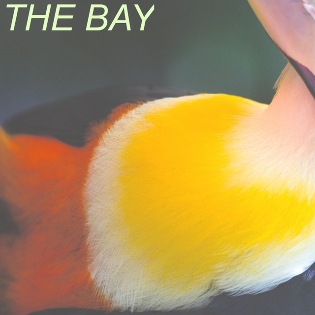 The Bay cover