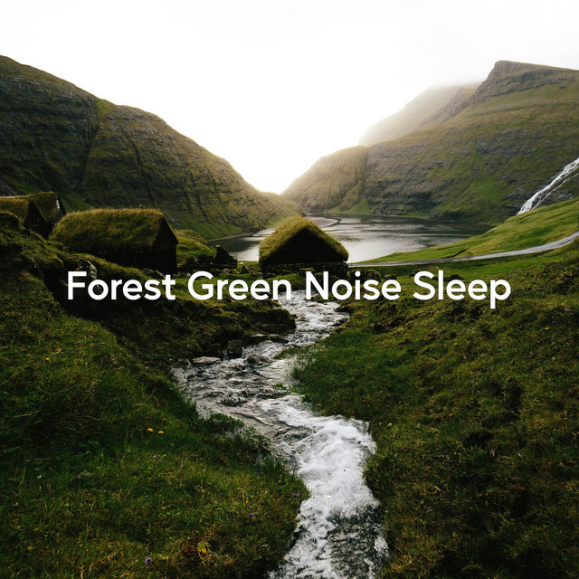 Forest Green Noise Sleep (Deep Calm Tones)