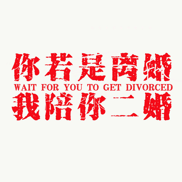杨凯盛 – 你若是离婚我陪你二婚