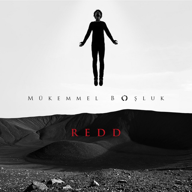 Mükemmel Boşluk cover art