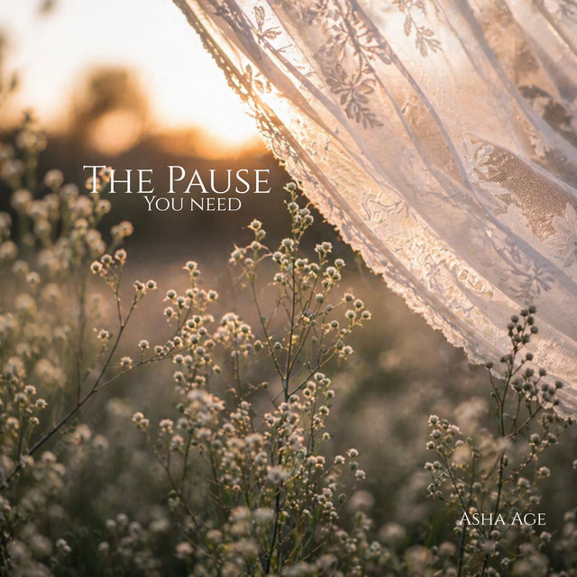 The Pause You Need cover art
