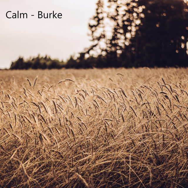 Calm cover art