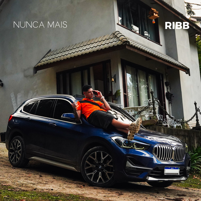 Nunca Mais album image