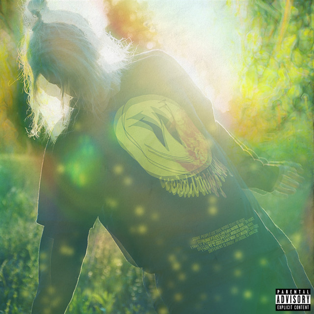 13 cover art