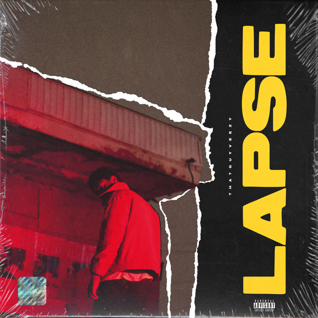 Lapse cover art