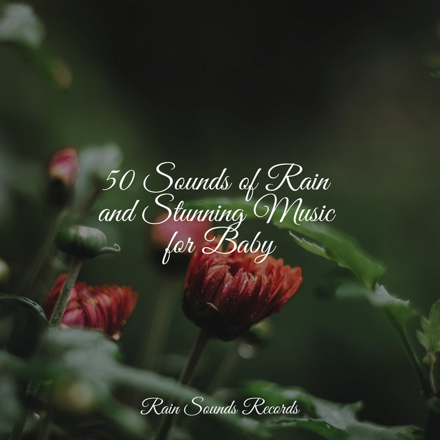 50 Sounds of Rain and Stunning Music for Baby - Album by Study Music ...