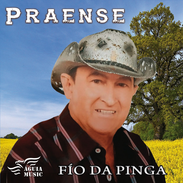 Fio da Pinga cover art