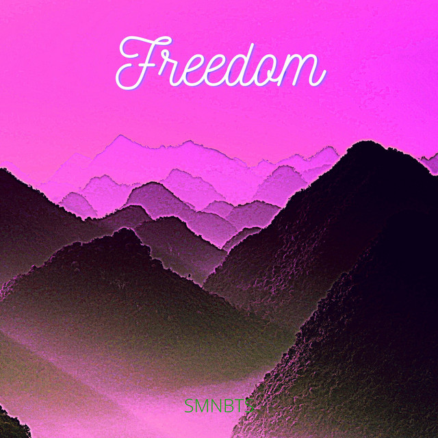 Обкладинка smnbts — Freedom (Slowed and Reverb)