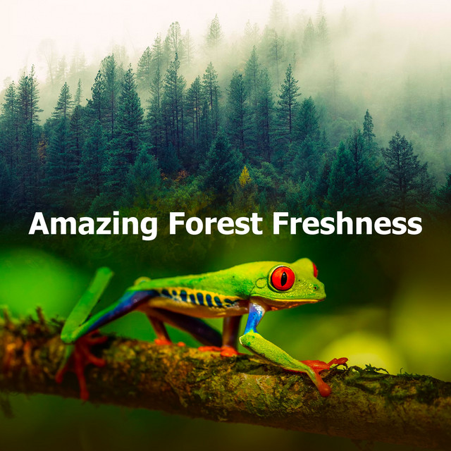 Amazing Forest Freshness cover art