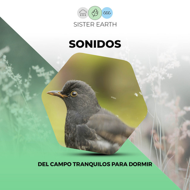 Sonidos del Campo Tranquilos para Dormir cover art