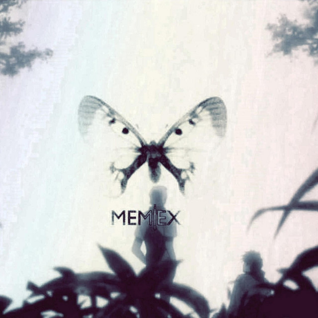 Surrender cover art