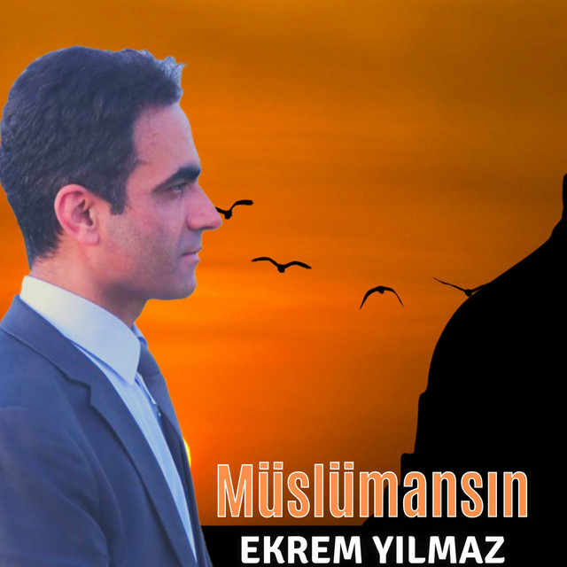 Müslümansın cover art
