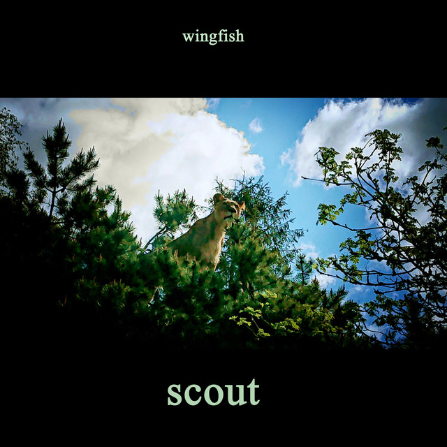 Scout - song and lyrics by Wingfish | Spotify