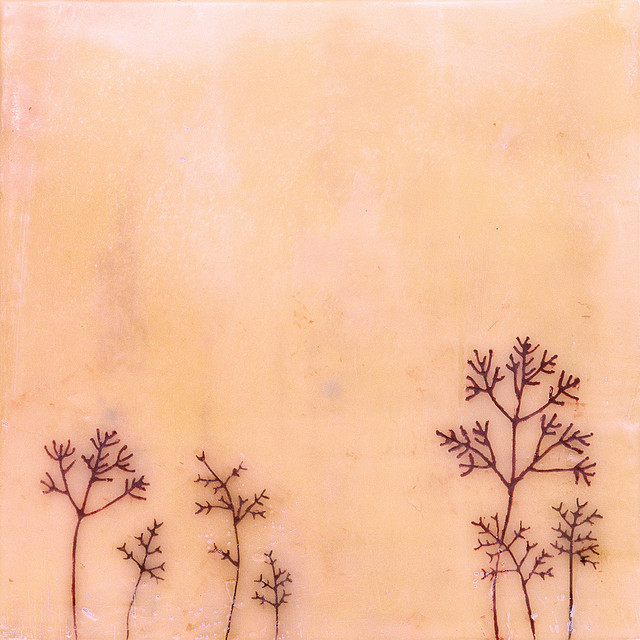 Lapses cover art