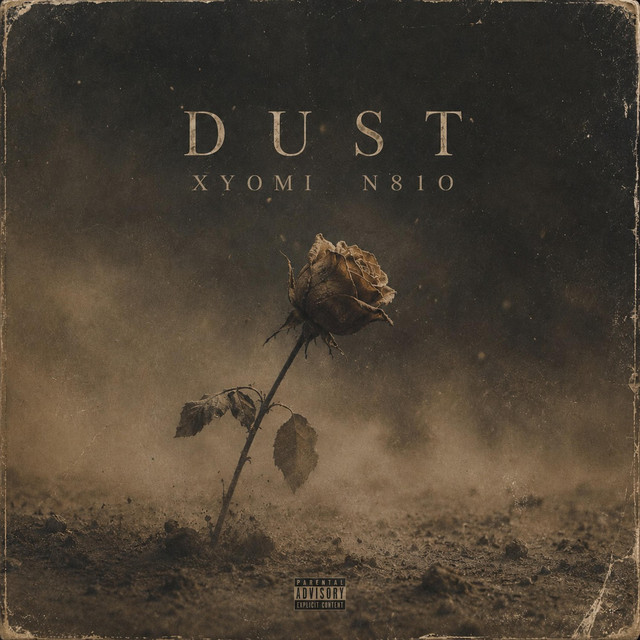 Dust