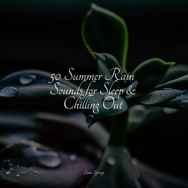 50 Healing Summer Rain Collection cover art