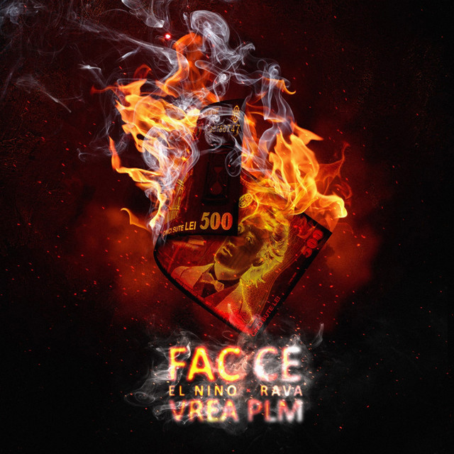 FAC CE VREA PLM