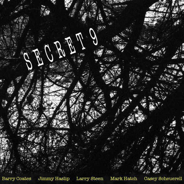 Secret 9 cover art
