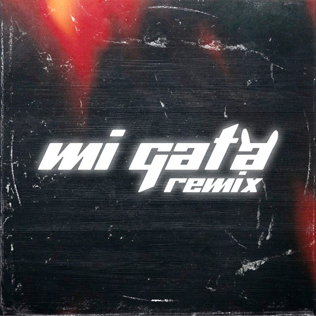 Mi Gata - Remix