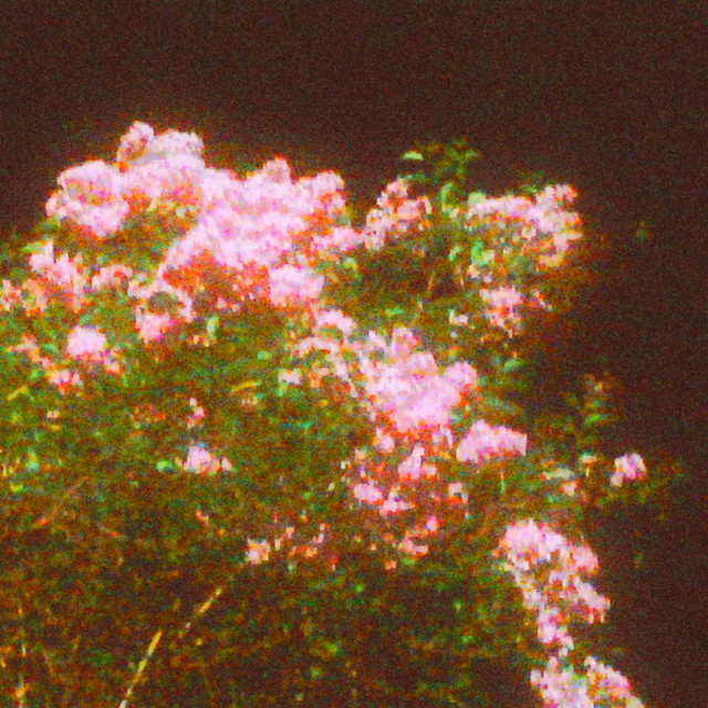 undefined album image