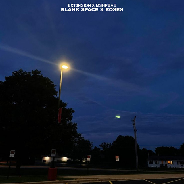 Blank Space x Roses (Tiktok Version) cover art