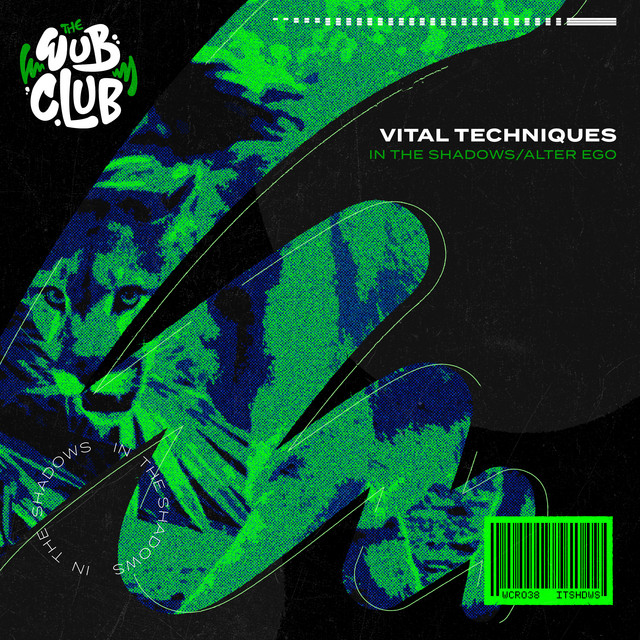 In The Shadows album art