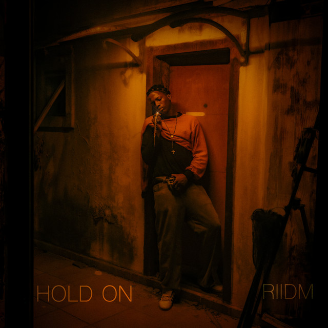 HOLD ON - Single by RIIDM | Spotify