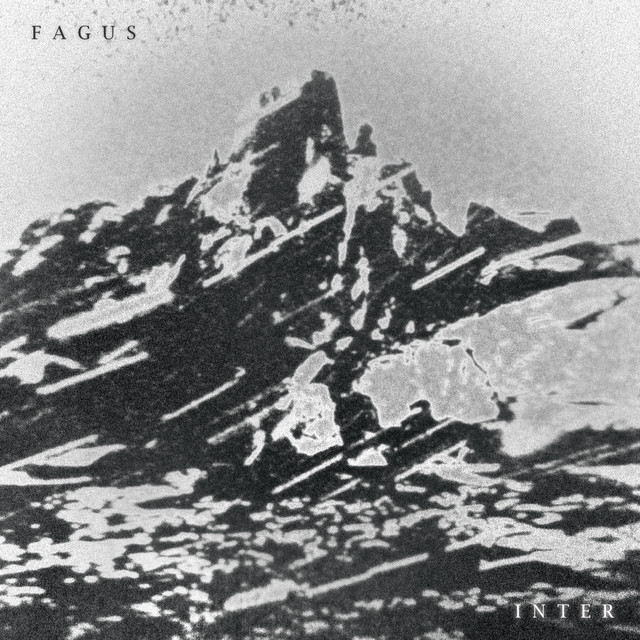 Fagus
