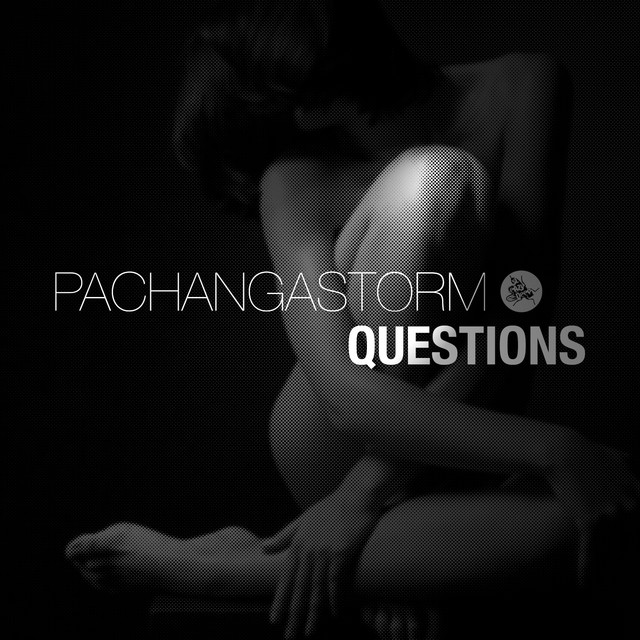 Questions cover art