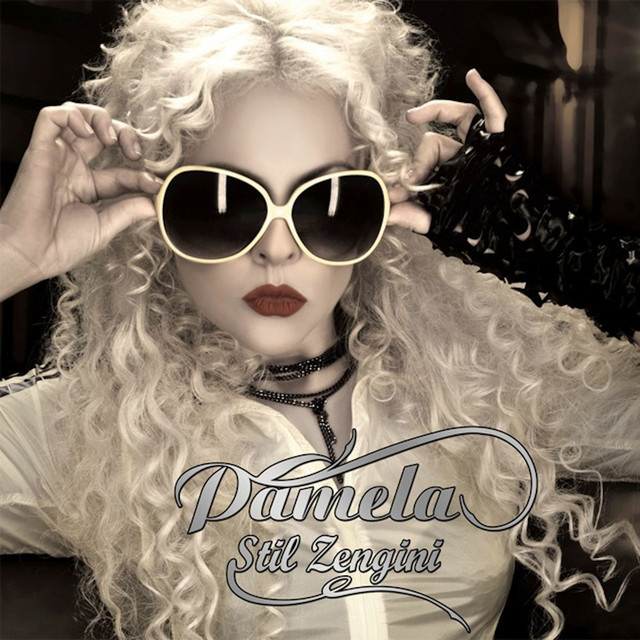 Stil Zengini cover art