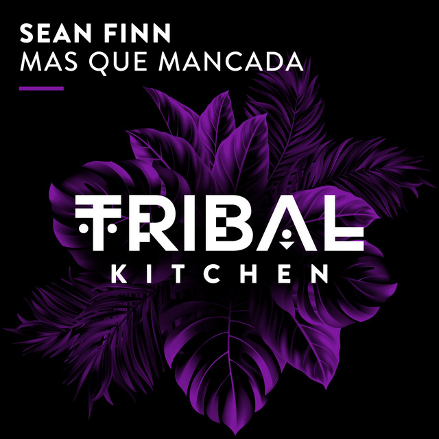 Mas Que Mancada - Extended Mix album art