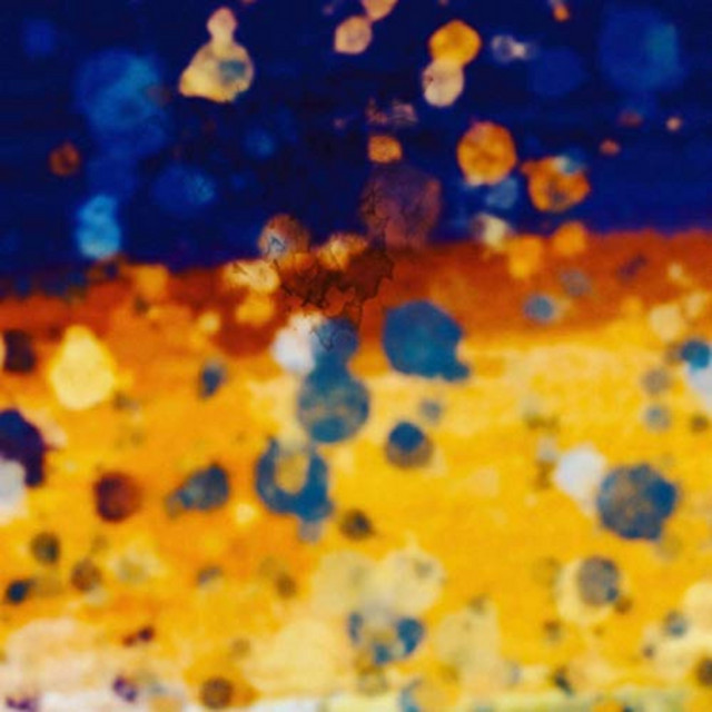 Solstice cover art