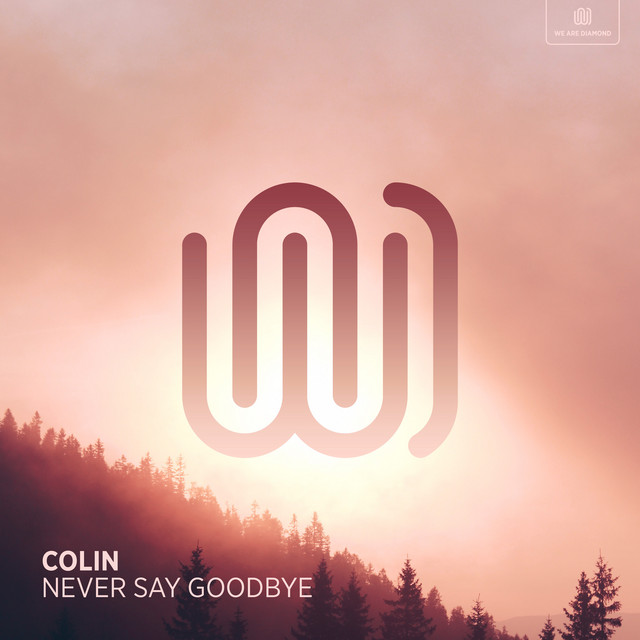Never Say Goodbye - Single by COLIN | Spotify
